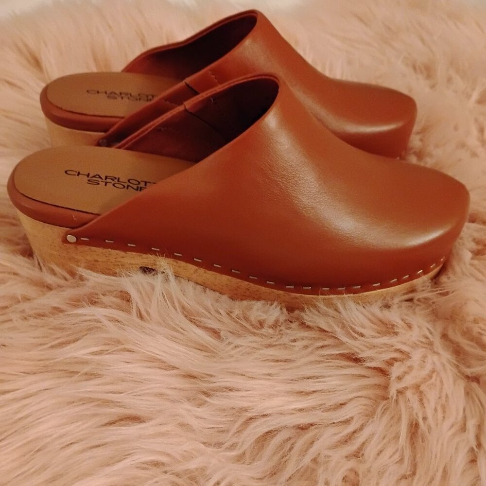 Charlotte Stone Martino clogs
